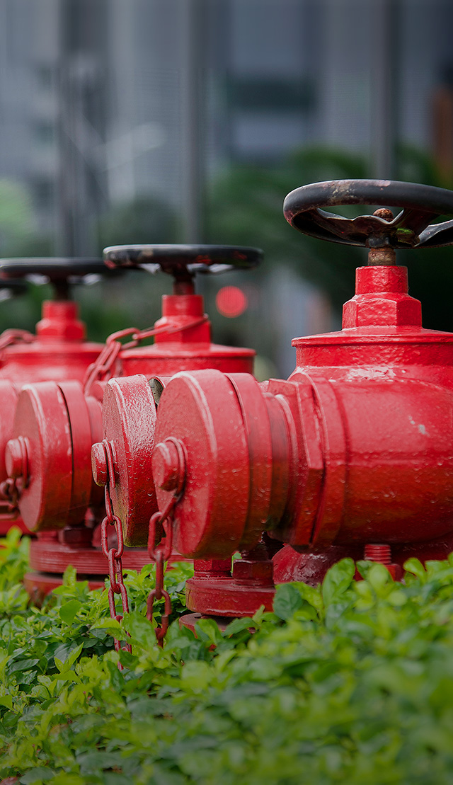 岳陽(yáng)中展科技有限公司